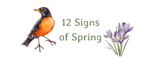 Signs of Spring on the Canadian Prairies