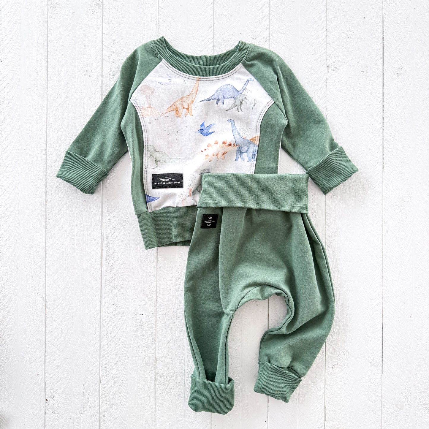 Sage Dinos Baby Set