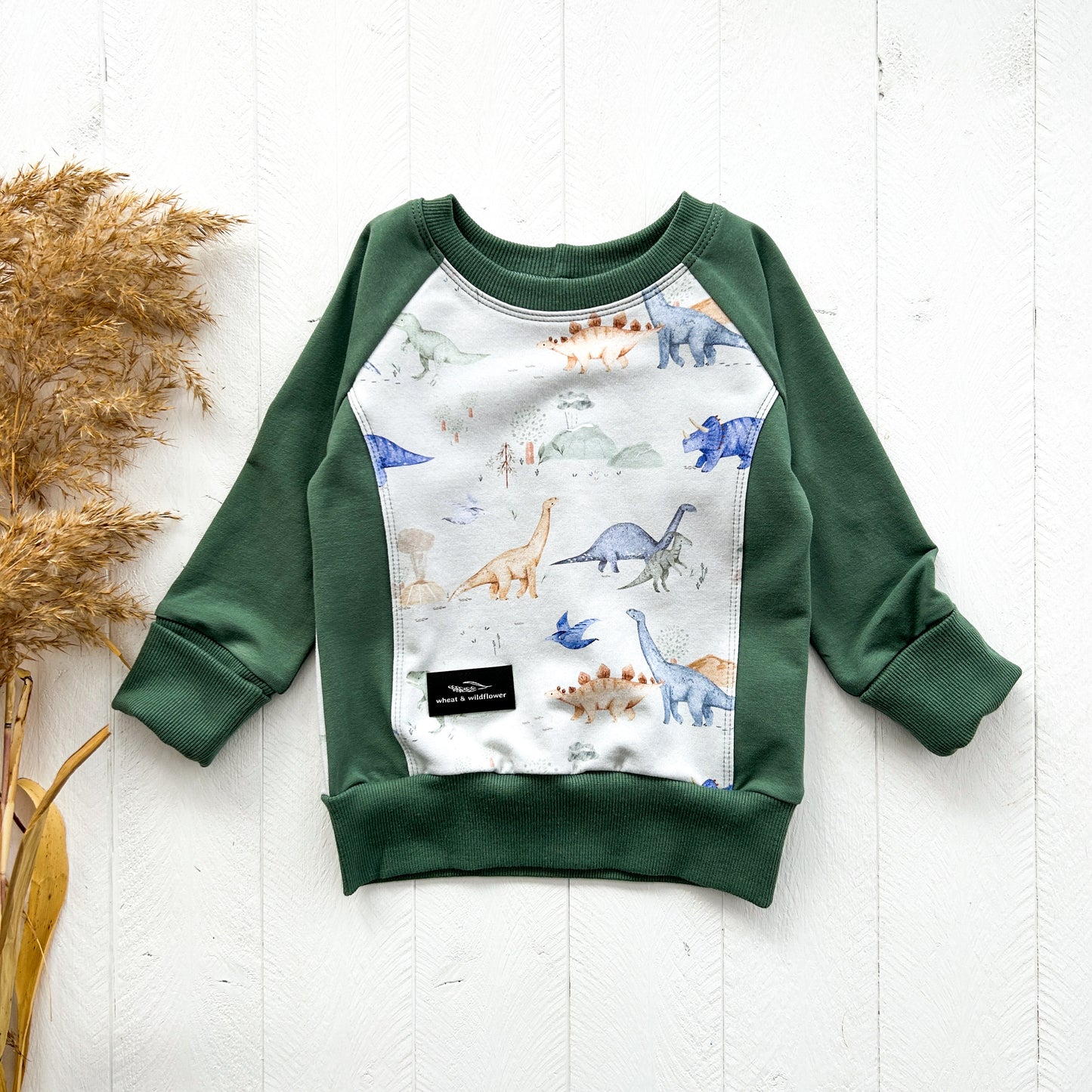 Sage Dinosaurs Pullover
