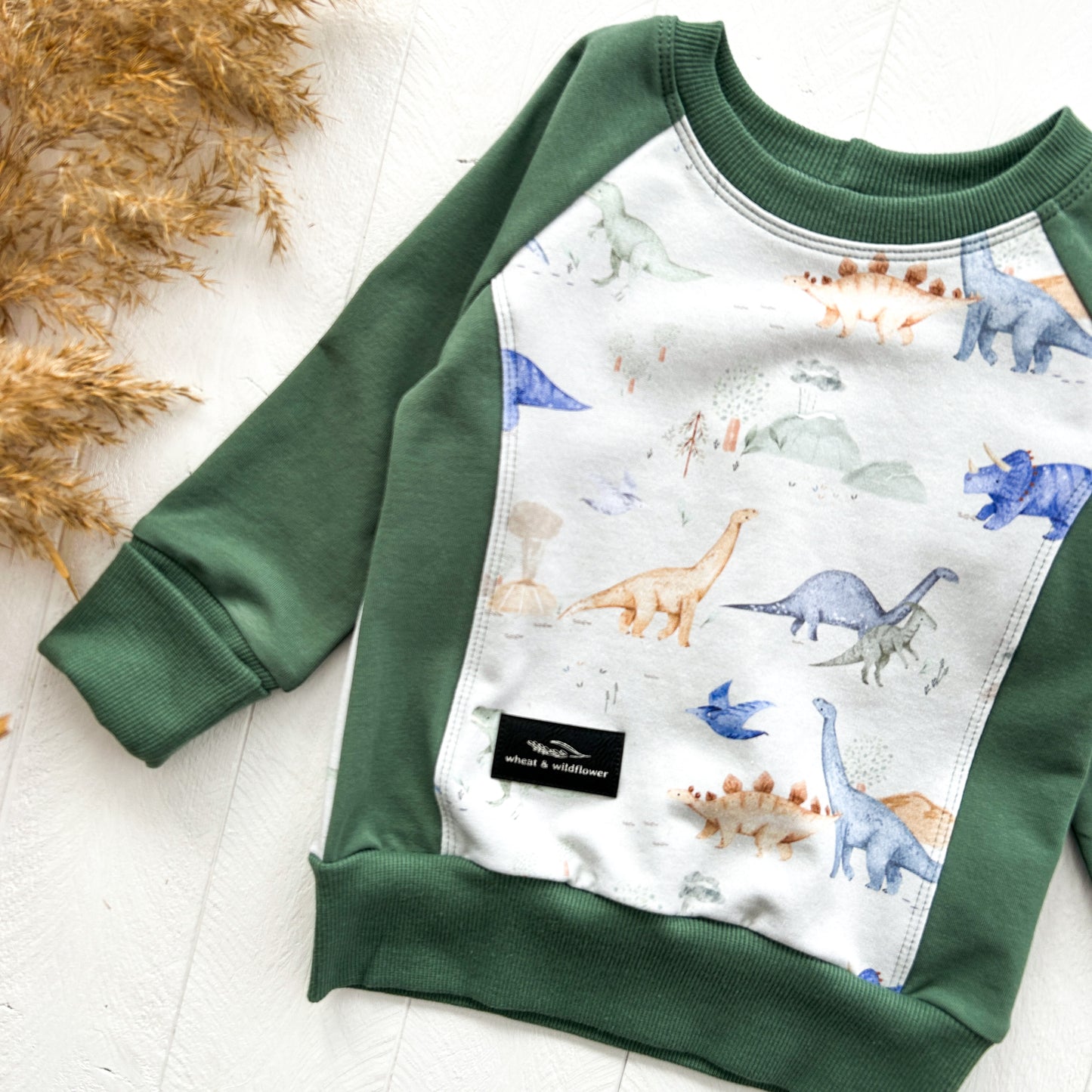 Sage Dinosaurs Pullover