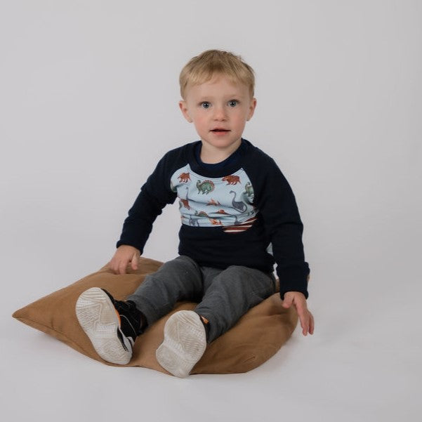 Fall Dinosaurs Pocket Pullover