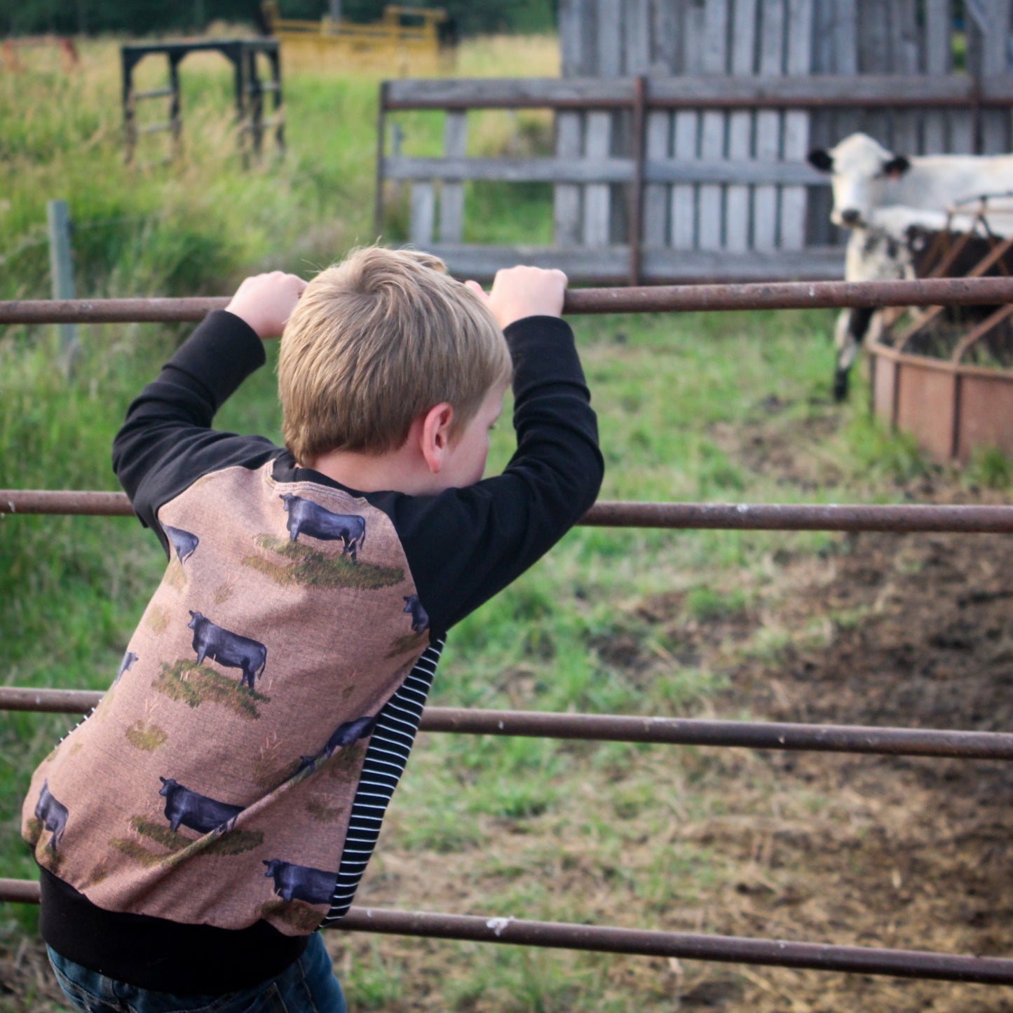 Support Your Local Farmers Pullover - Beef Cows