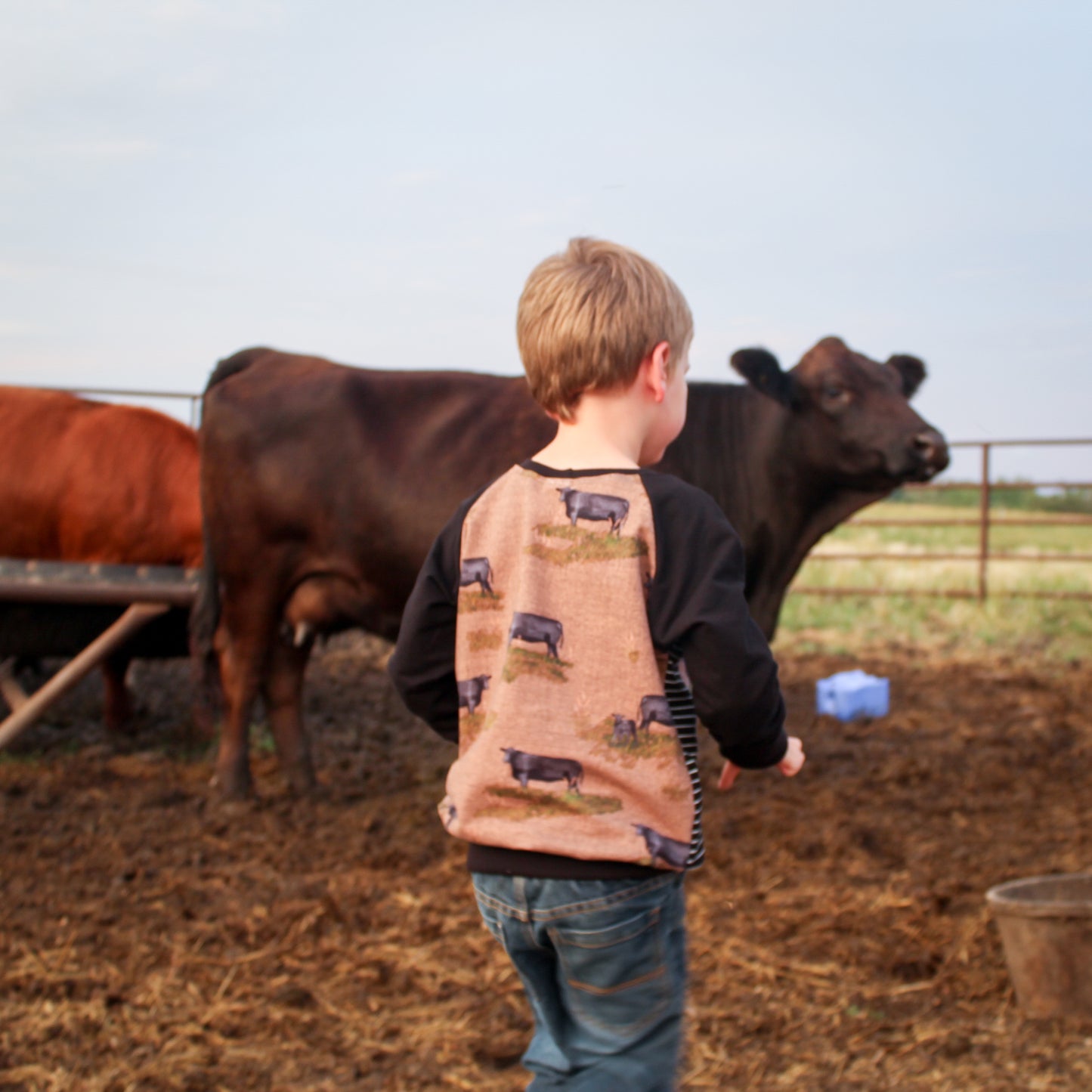 Support Your Local Farmers Pullover - Beef Cows