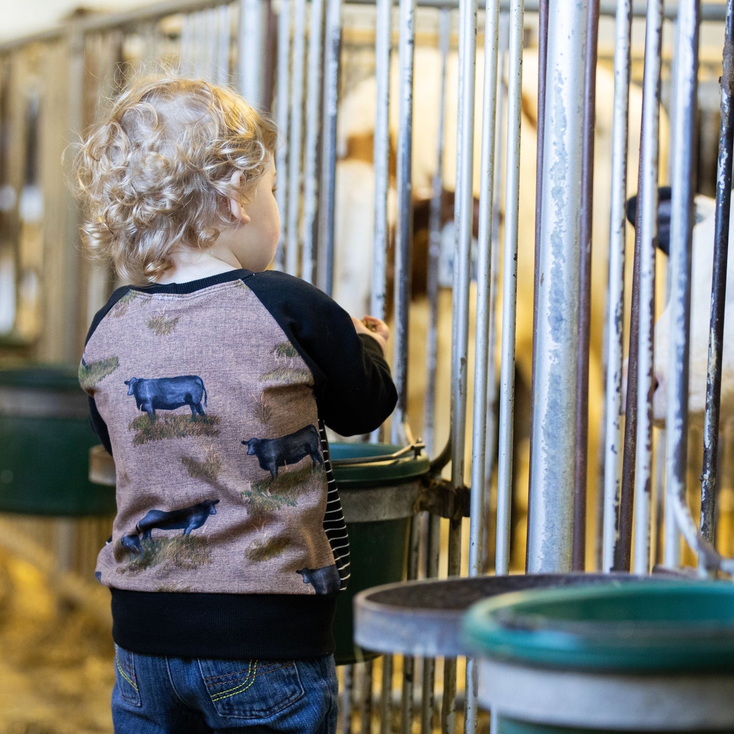 Support Your Local Farmers Pullover - Beef Cows