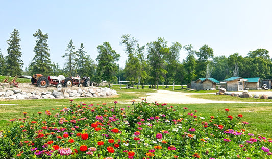 Plan a Summer Day Trip to the Arnes Farmers Market