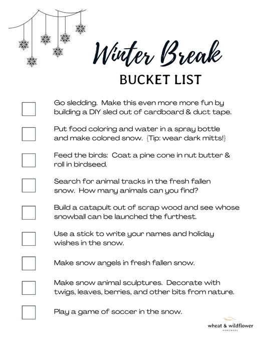 Winter Break Bucket List