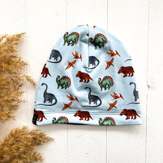 Blue Dinosaurs Lined Beanie