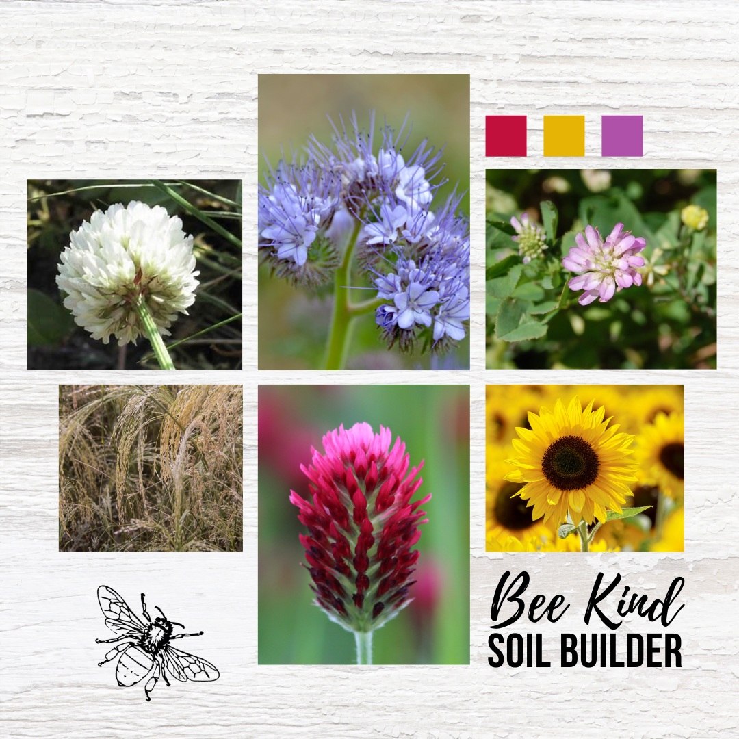 wheatandwildflower.ca bee kind soil builder regenerative seed blend for garden and homestead