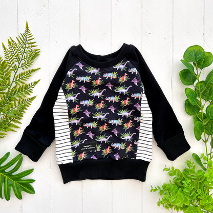 Spring Dinosaurs Colorblocked Pullover